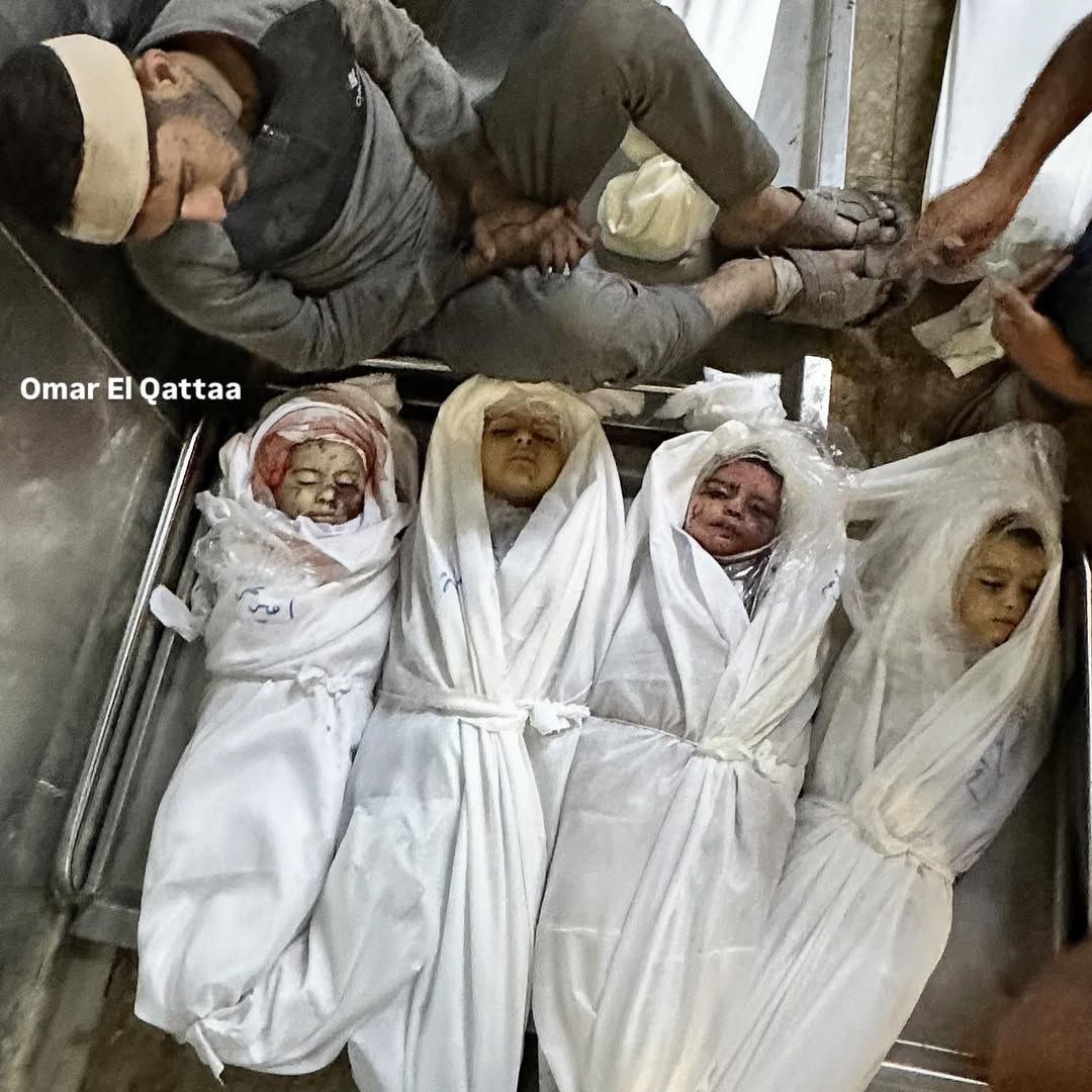 A prince, a salary, a generous, and Osama, 4 birds from the Azzam family kidnapped by an Israeli mis