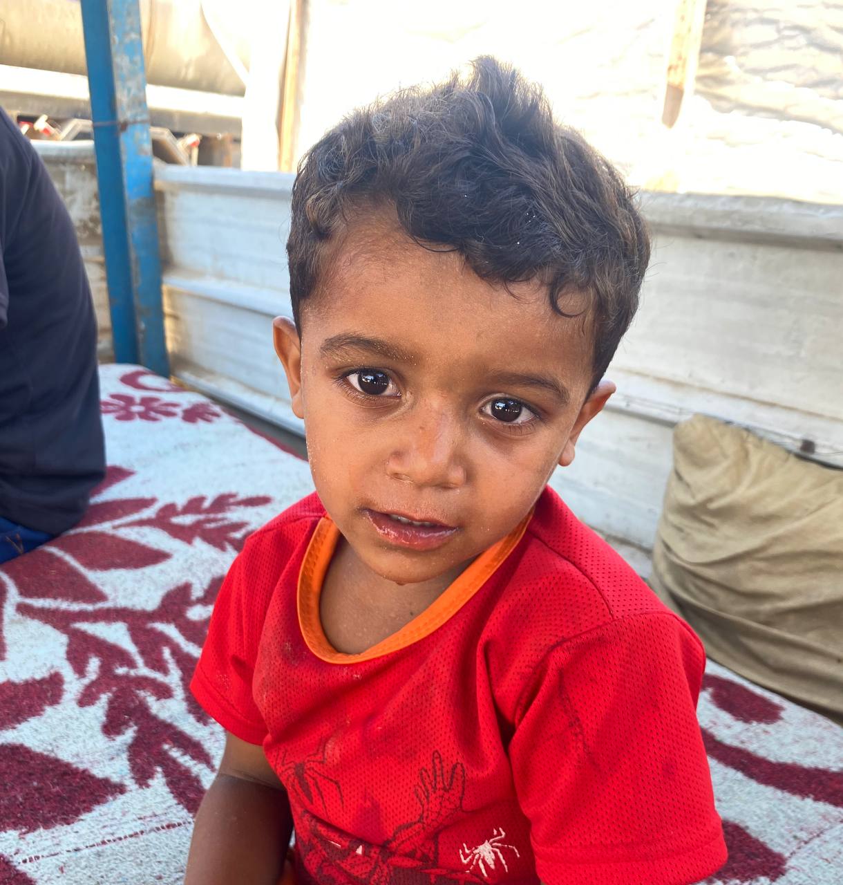 A child was found on the beach of the sea near Sand Beach; The civil defense is located next to the
