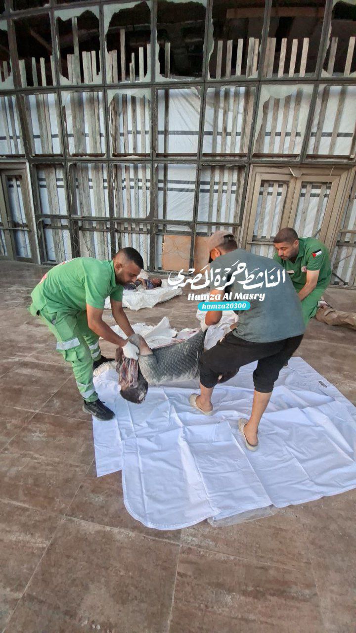 Urgent martyrs of unidentified identity were arriving at Hamad Hospital and now they are transferred