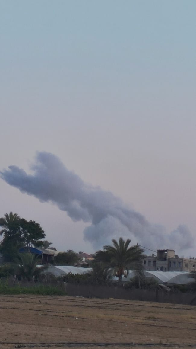 Israel murdered Mohammad in Rafah by shelling.