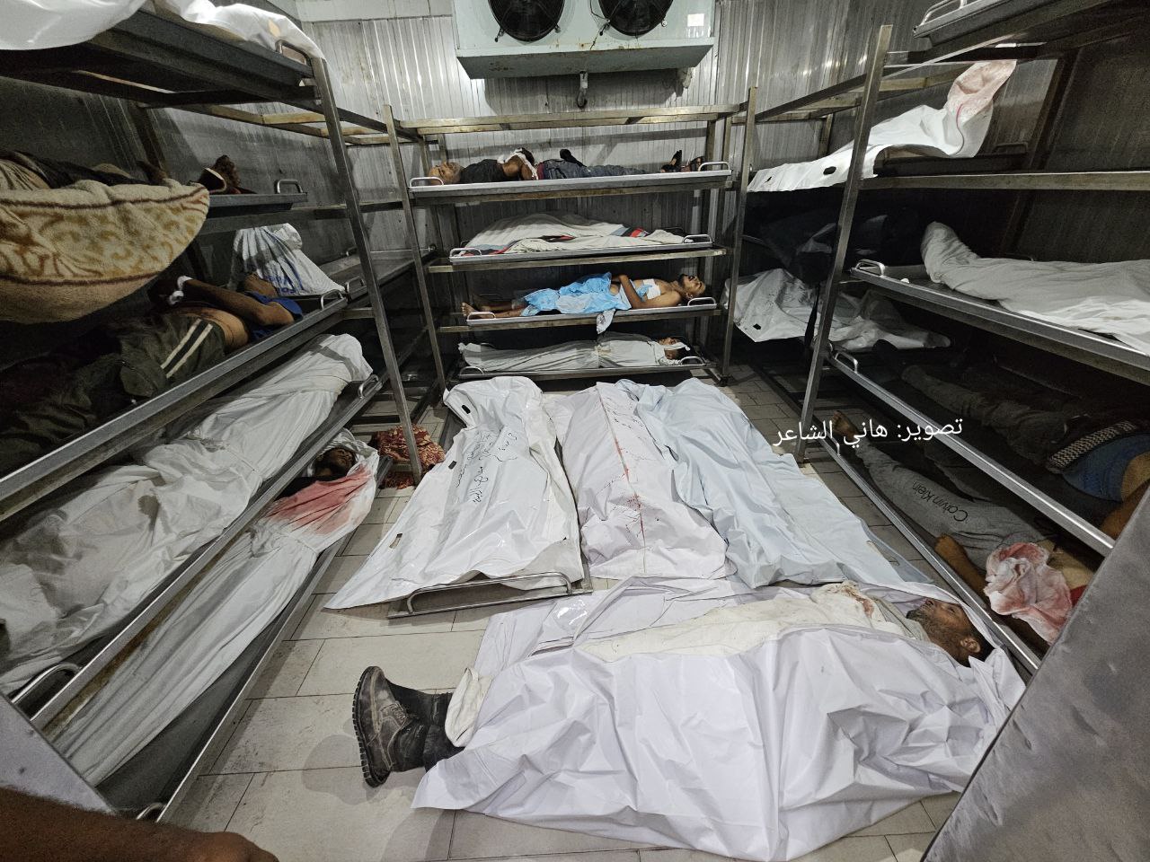 Martyrs of aid students in the Nasser Medical Complex in the southern Gaza Strip