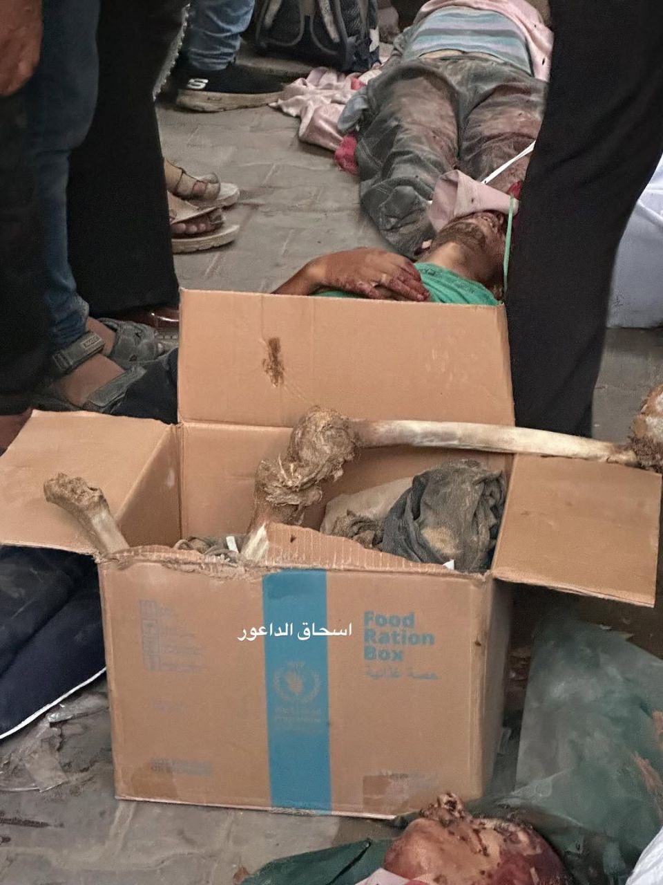 Follow -up - aid carton that enters and falls on the sector. The arrival of a decomposing body for a