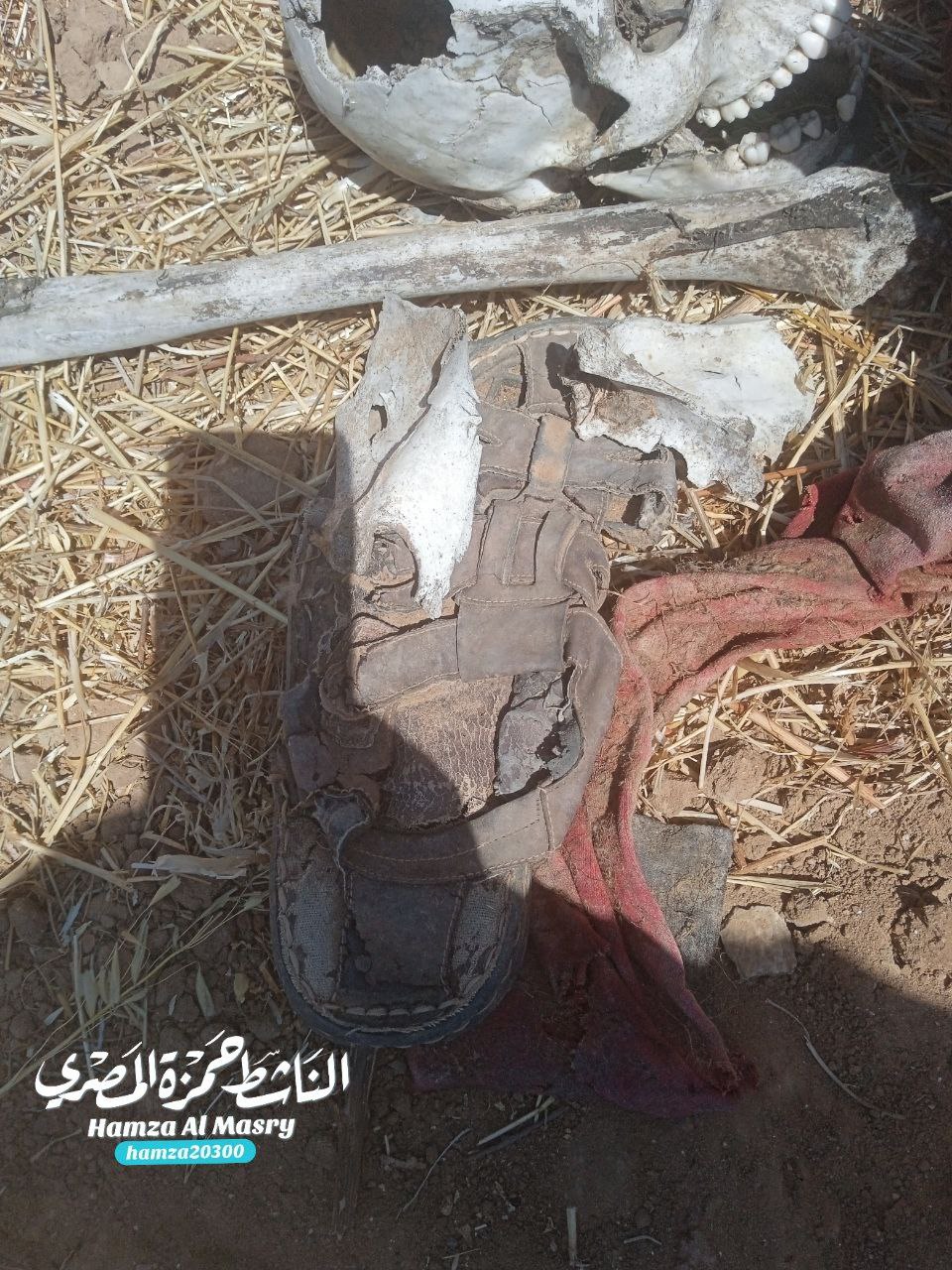 A group of brothers found the remains of this anonymous martyr in the axis of Natsarim Al -Jadid Str