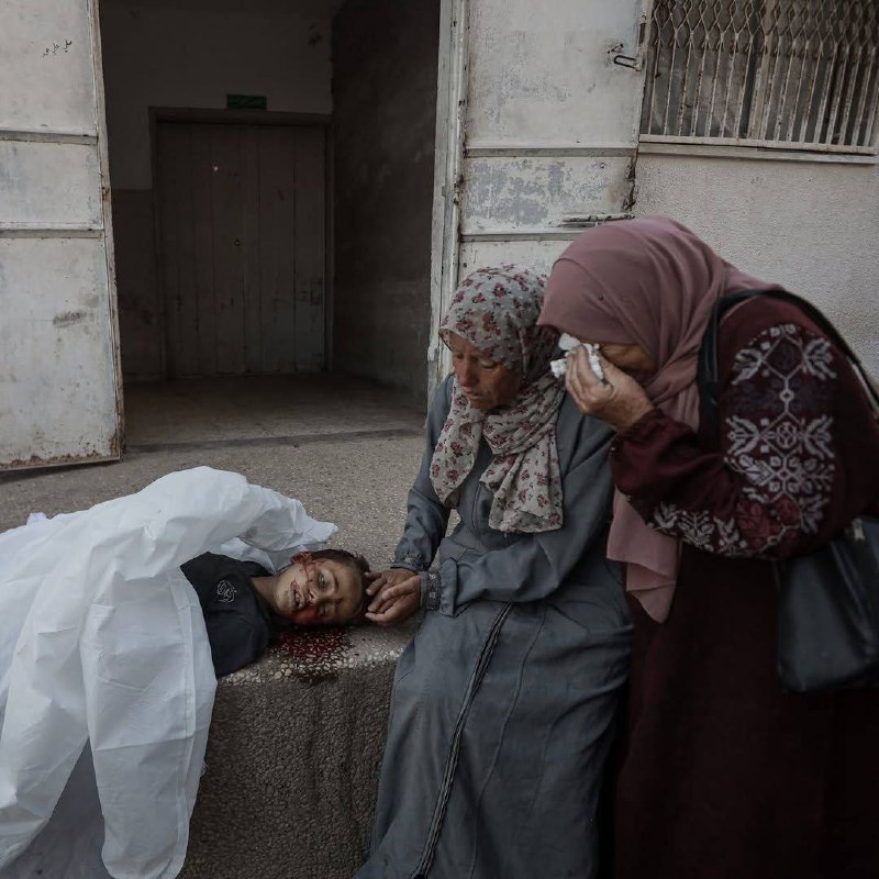 Pictures | A Palestinian deposits her only child, who was martyred in the bombing of the displaced t